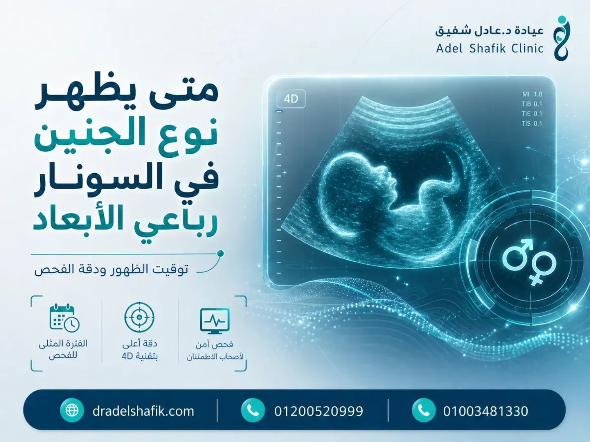 متى يظهر نوع الجنين في السونار رباعي الأبعاد