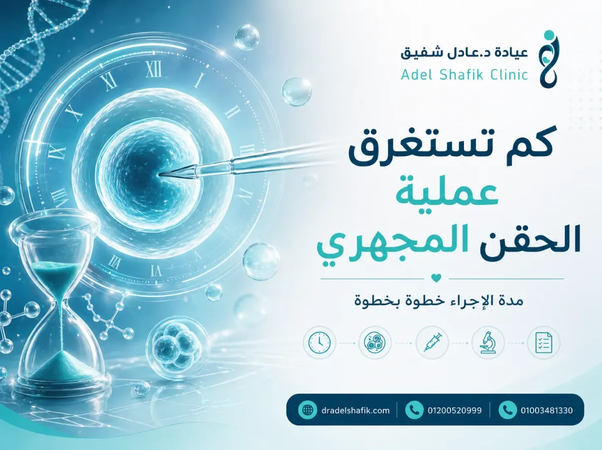 كم تستغرق عملية الحقن المجهري: الجدول الزمني الشامل لرحلتكِ خطوة بخطوة 
